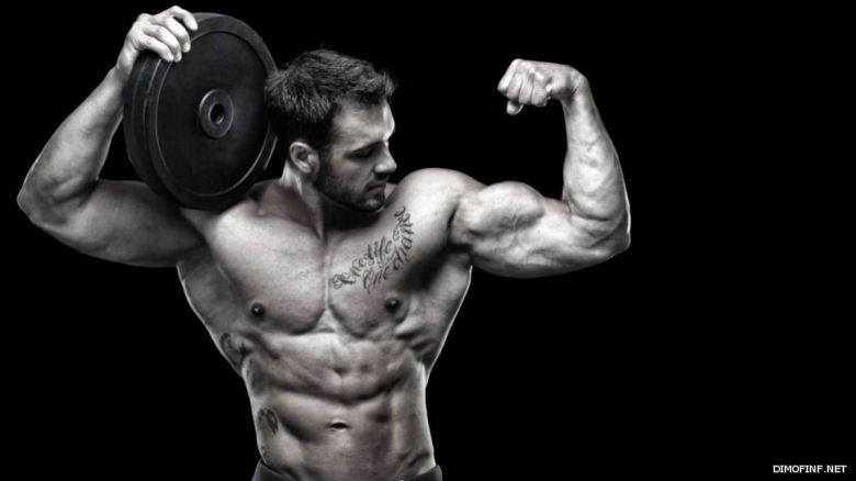 كم عدد عضلات جسم الانسان